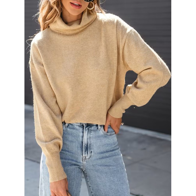 Women's Cozy turtleneck sweater
