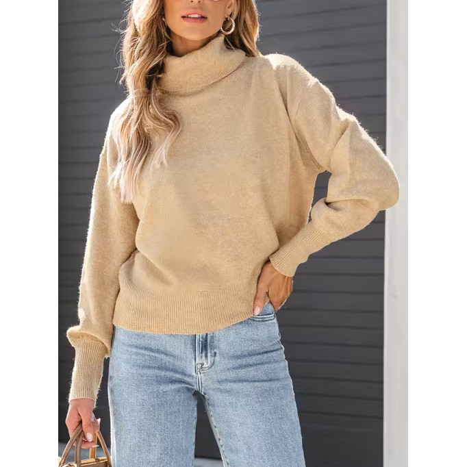 Women's Cozy turtleneck sweater